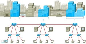 falnic-what-network05